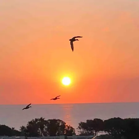 Vue Au Lavandou * 勒拉旺杜