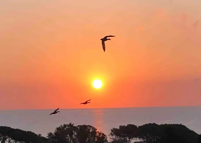 Vue Au Lavandou * Le Lavandou
